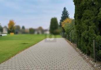 485699-Vorschaubild4