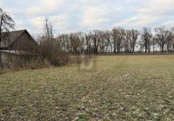 485546-Vorschaubild3