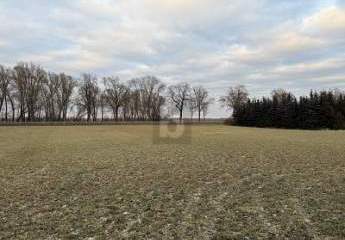 485546-Vorschaubild4