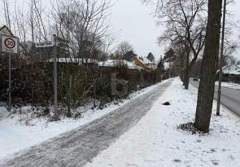 485547-Vorschaubild3