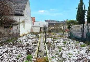 482253-Vorschaubild2