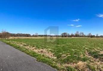 485979-Vorschaubild2