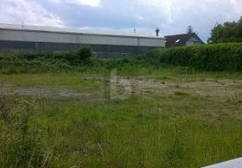 482565-Vorschaubild2