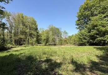 486001-Vorschaubild2