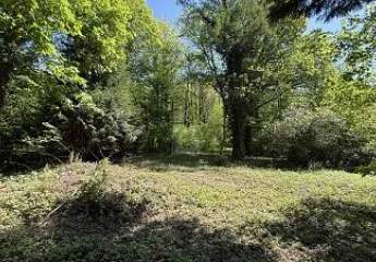 486001-Vorschaubild3