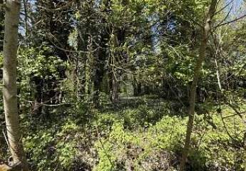 486001-Vorschaubild4