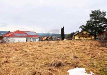 485504-Vorschaubild2