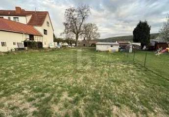 482511-Vorschaubild2