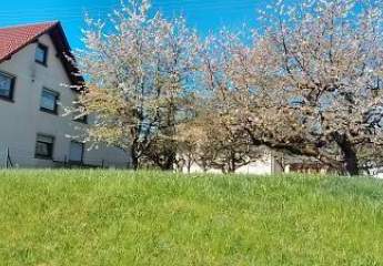 STADTNAHES WOHNGRUNDSTÜCK EFH O. MFH