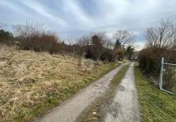 486321-Vorschaubild2