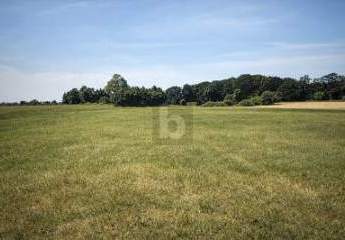 GRÜNLANDFLÄCHE - KAPITALANLAGE MIT PV-POTENTIAL