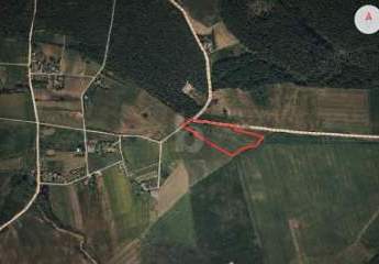 485983-Vorschaubild2