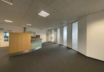 484480-Vorschaubild2