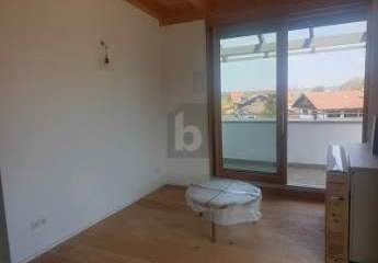 485791-Vorschaubild3