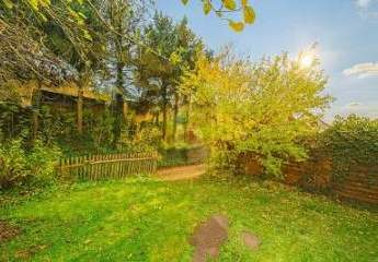 486348-Vorschaubild4