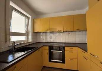 484437-Vorschaubild3