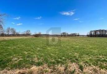 SONNIGES WEIDEPARADIES FÜR TIERHALTUNG