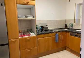 484817-Vorschaubild4