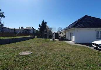 486439-Vorschaubild4