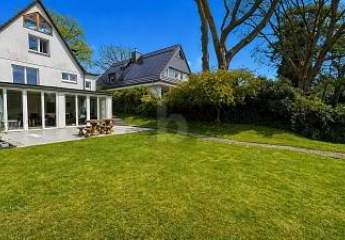 487381-Vorschaubild2