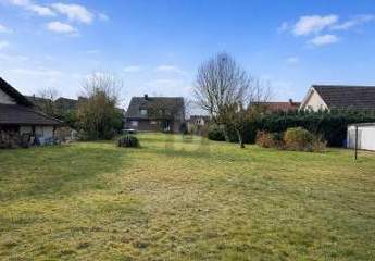 486307-Vorschaubild3