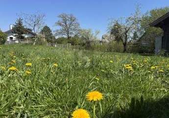 BESTE WOHNGEGEND IM 5-SEEN-LAND BEIM PILSENSEE