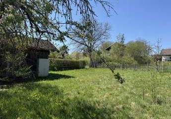 482967-Vorschaubild2