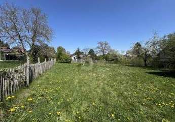 482967-Vorschaubild3