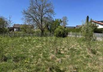 482967-Vorschaubild4