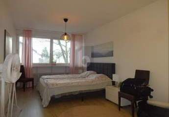 485228-Vorschaubild3