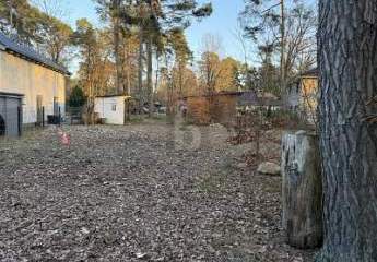 483269-Vorschaubild2