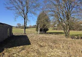 482845-Vorschaubild3