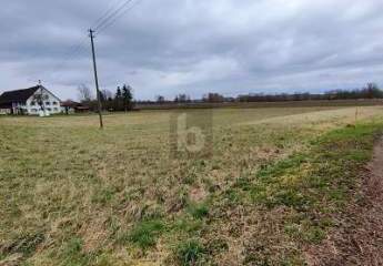 EHINGEN AN DER DONAU: IHR PLATZ ZUM BAUEN