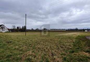 487520-Vorschaubild2