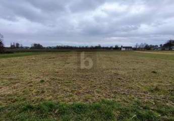 487520-Vorschaubild3