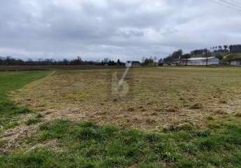 487520-Vorschaubild4