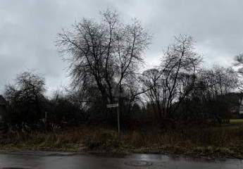 483392-Vorschaubild2