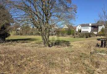 482864-Vorschaubild2