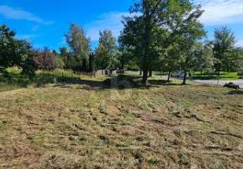 487558-Vorschaubild3