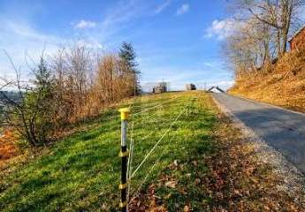 485510-Vorschaubild4