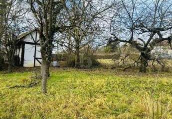 485230-Vorschaubild2