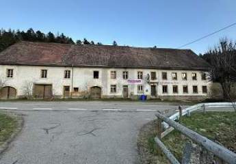 HISTORISCH, MITTEN IM SCHWARZWALD