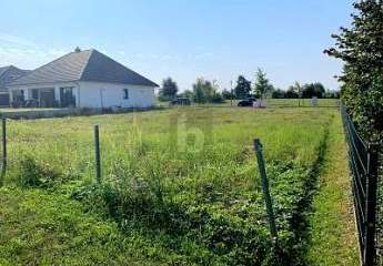 483812-Vorschaubild2