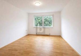 TOLLER SCHNITT, LEERSTEHEND