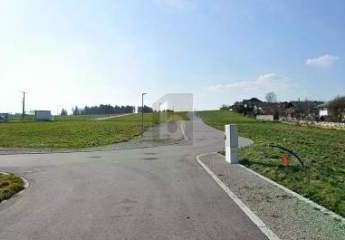488638-Vorschaubild4