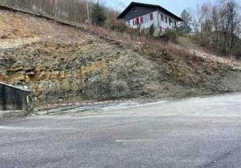 488033-Vorschaubild3