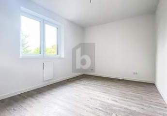 484407-Vorschaubild4