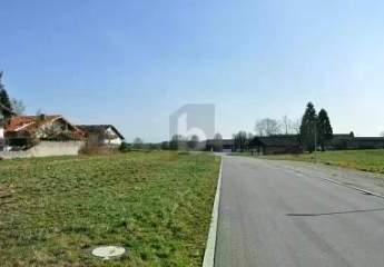 488667-Vorschaubild4
