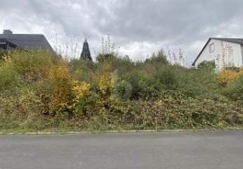 488120-Vorschaubild2
