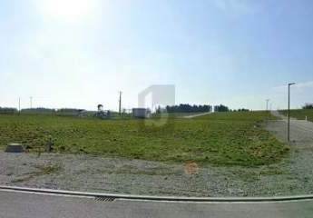 488667-Vorschaubild3